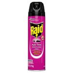 inseticida-raid-aero-acao-total-285ml-333901-1
