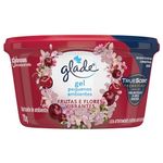 desodorante-glade-gel-frutas-e-flores-vibrantes-70g-343270-1