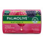sabonete-palmolive-naturals-toque-nutritivo-framboesa-e-amora-85g-br03482a-1