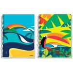 caderno-credeal-original-arts-16-materias-256-folhas-275153-2
