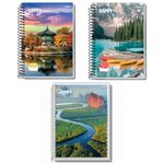 caderno-credeal-happy-adventure-12-materias-capa-dura-espiral-168-folhas-sortido-205327-2