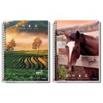 caderno-credeal-agro-10-materias-capa-dura-espiral-160-folhas-sortido-277713-1