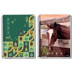 caderno-credeal-agro-10-materias-capa-dura-espiral-160-folhas-sortido-277713-4