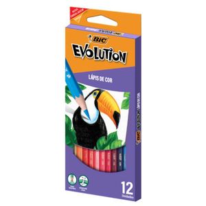 Kit 12 Lápis De Cor Bic Evolution 12 Cores