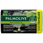 sabonete-palmolive-natural-argila-preta-e-oleo-de-eucalipto-150g-61046280-1