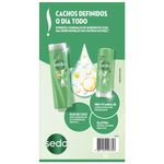 kit-shampoo-300ml-condicionador-190ml-seda-cachos-definidos-64360842-2