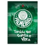 caderno-credeal-universitario-palmeiras-espiral-10-materias-capa-dura-160-folhas-284339-3