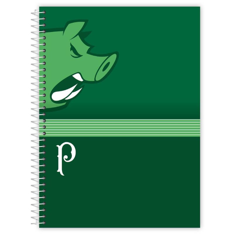 caderno-credeal-universitario-palmeiras-espiral-16-materias-capa-dura-256-folhas-284353-4