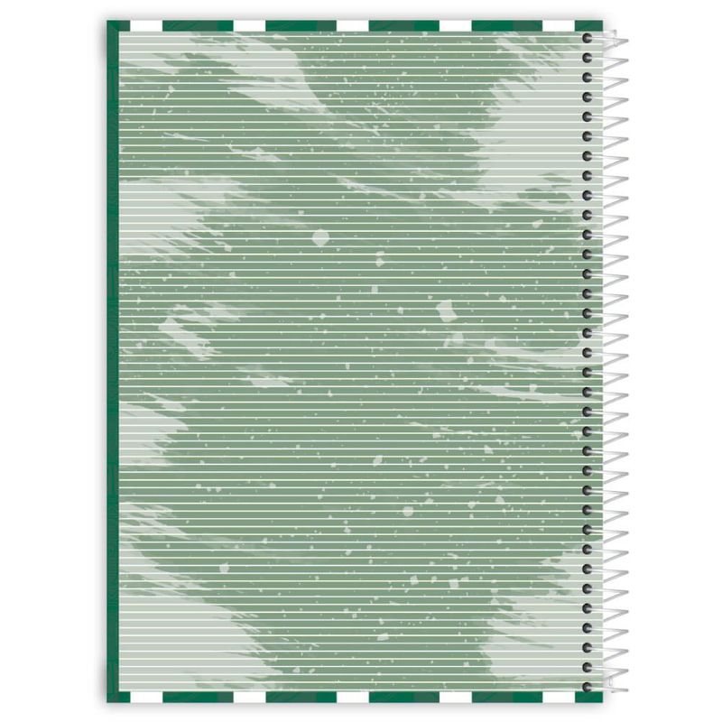 caderno-credeal-universitario-palmeiras-espiral-10-materias-capa-dura-160-folhas-284339-2